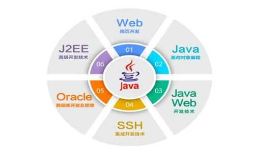 從入門到退坑 IT行業(yè)五大崗位全解析，軟件開(kāi)發(fā)是否最賺錢？